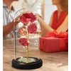 Amžinoji rožė stiklo kupole su LED šviesomis Happy People KK-30
