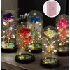 Amžinoji rožė stiklo kupole su LED šviesomis Happy People KK-30