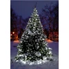 Happy People Lauko Kalėdinė girlianda 500 Led, 35 metrai Šaltai baltos spalvos Flash K-32