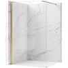 Dušo siena Rea Flexi Transparent / Gold 130