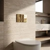 Įleistinis WC rėmas K011A-Q Rea J Gold