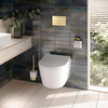 Įleistinis WC rėmas Rea K011A-Q T Gold