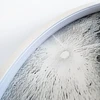 Lubinis šviestuvas Toolight Lubų šviestuvas APP1806-CW Moon LED Baltas