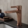 Maišytuvas Praustuvui Premium Rea Maxim Copper High