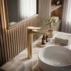 Maišytuvas praustuvui PREMIUM Rea Vision Gold High