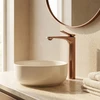 Maišytuvas Praustuvui Premium Rea Vision Copper High