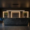 Pakabinamas šviestuvas Toolight Šviestuvas LED APP1695-CP 200 cm Juodas