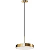 Pakabinamas šviestuvas Toolight šviestuvas LED APP1687-1CP 30CM BRUSH GOLD