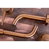 Potinkinis praustuvo maišytuvas Rea Lungo Long Copper + BOX