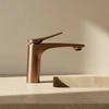 Praustuvo maišytuvas PREMIUM REA Vision Copper Low