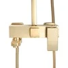 Purškimo rinkinys REA JACK BRUSHED GOLD