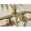 rea Pakabas Vonios Kambario 5705 Galo Gold