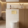 rea Potinkinis WC Rėmo Komplektas Slim 024N su T Gold Mygtuku