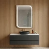 rea Veidrodis LED ZONE 70X50 BRUSH GOLD