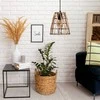 Toolight Boho pakabinamas šviestuvas APP1318-1CP