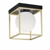 Pakabinamas šviestuvas Toolight Lubinis plafonas Gold Baltas APP1166-1C