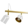 Toolight Pakabinamas šviestuvas APP1030-4CP Baltas