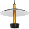 Toolight Pakabinamas šviestuvas APP914-1CP