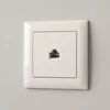 Toolight Rj45 Lizdas Su Rėmeliu Oste Jnh010-s rusvai gelsvas
