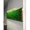 Sieninis šviestuvas Toolight Sieninė lempa Gold 60cm APP834-1W