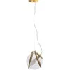 Pakabinamas šviestuvas Toolight Šviestuvas APP1089-1CP GOLD TRANSPARENT
