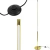 Toolight Šviestuvas APP1416-F Gold