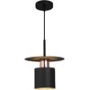 Pakabinamas šviestuvas Toolight Šviestuvas lubinis APP1145-1CP Juodas Rose Gold