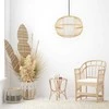 Lubinis šviestuvas Toolight Šviestuvas lubinis BOHO APP1632-1CP 50cm