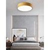 Pakabinamas šviestuvas Toolight Šviestuvas lubinis Classic APP872-C Gold 30 cm