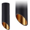 Lubinis šviestuvas Toolight Šviestuvas lubinis Juodas GOLD 20 CM APP571-1C