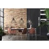 Pakabinamas šviestuvas Toolight Šviestuvas lubinis Loft LH2065