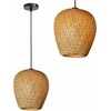 Pakabinamas šviestuvas Toolight Šviestuvas lubinis NATURAL APP885-1CP