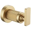 Vonios kabliukas 81304 Virro Gold