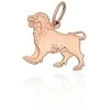 Auksinis pakabukas – zodiako ženklas "Liūtas"