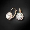 Diamond Sky Jewelry Auskarai moterims DiamondSky „Glory II“ su Swarovski kristalais