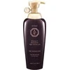Daeng Gi Meo Ri Ki Gold Premium Šampūnas RENEWAL Strengthening Šampūnas for Dry and Brittle Hair, 500 ml