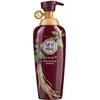 Daeng Gi Meo Ri Vitalizing Energy Šampūnas 500 ml