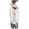 Daeng Gi Meo Ri Vitalizing Premium Treatment 500 ml