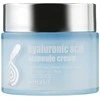 Zenzia Hyaluronic Acid Ampoule Kreminis - intensyviai drėkinantis veido kremas su hialurono rūgštimi, 70 ml