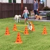Agility rinkinys 80 × 22,5 × 30 cm