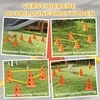 Agility rinkinys 80 × 22,5 × 30 cm