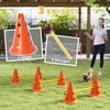 Agility rinkinys 80 × 22,5 × 30 cm