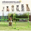 Agility rinkinys 99 × 65 × 94 cm