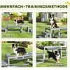 Agility rinkinys pilkas