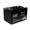 Lean Cars AGM Gel baterija automobiliui 12V 14Ah