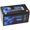 Lean Cars Akumuliatorius BLUEBOX VRLA AGM 24V 7Ah