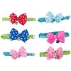 Dog cat collar with bell adjustable