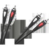 2RCA-2RCA 1,0 m Cabletech Eco-Line