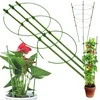 Augalų atrama žiedinė 60cm žalia