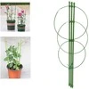 Augalų atrama žiedinė 60cm žalia
